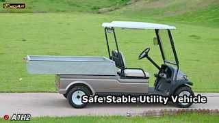 A1H2 Champagne Gold توفر هذه السيارة الكهربائية متعددة الأغراض الأمان والاستقرار لفترة طويلة