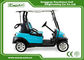 Light Blue Color 2 Seats Golf Carts With Special Disc Brake/Trojan Battery